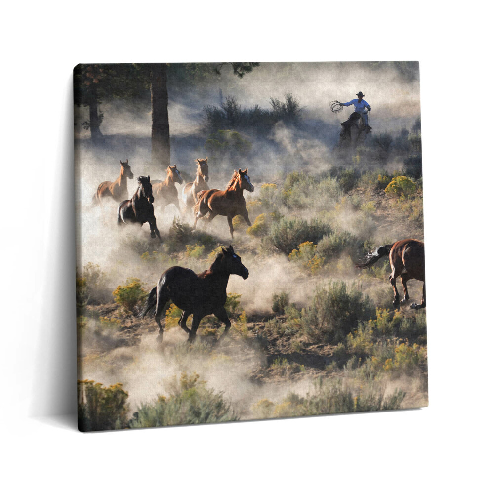 Tablou pe pânză canvas 60x60 O turmă de cai în galop