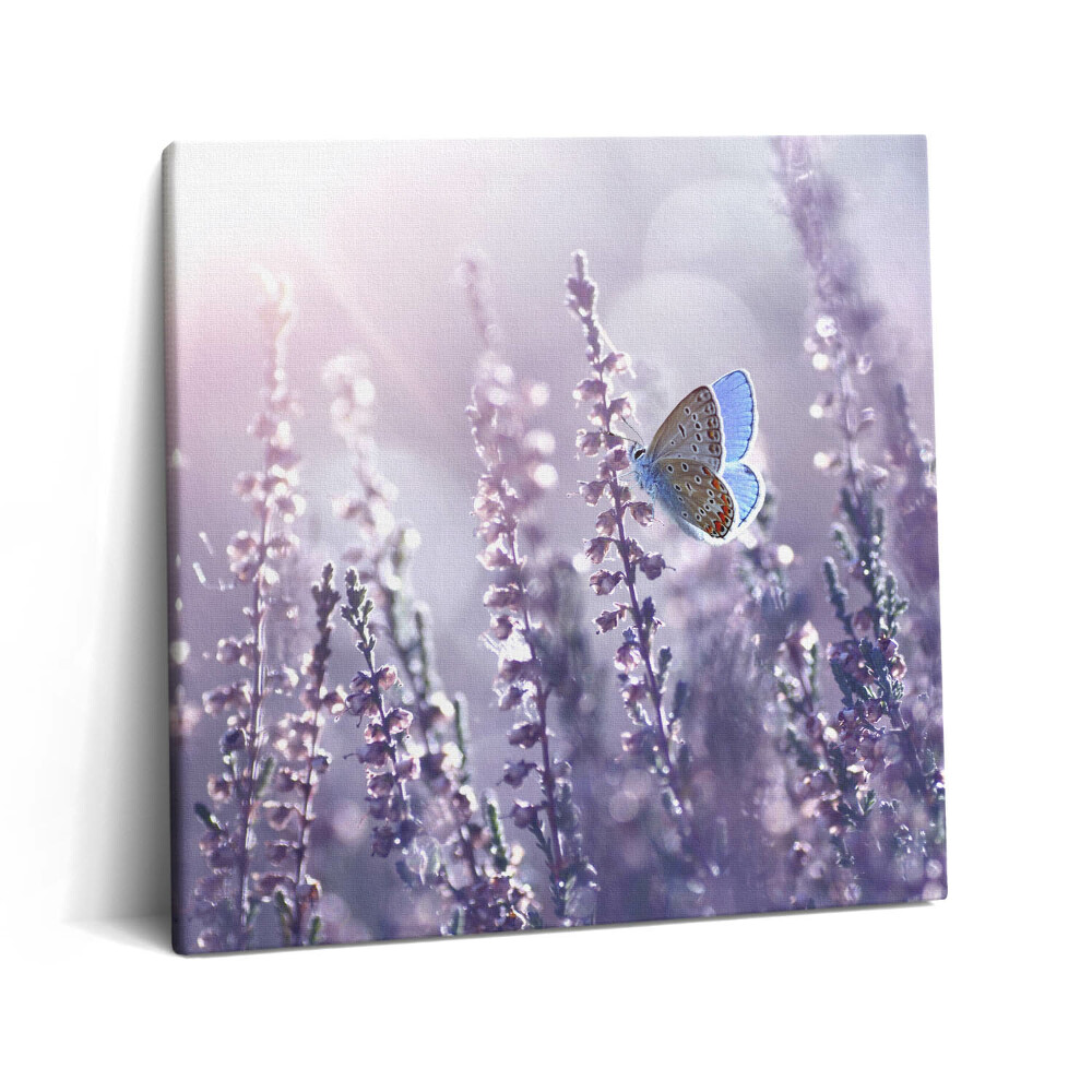 Tablou pe pânză canvas 60x60 Fluture pe flori sălbatice