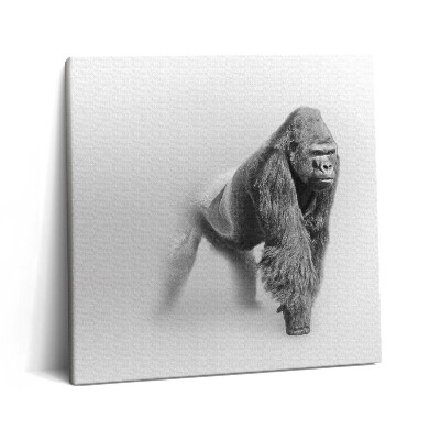 Tablou pe pânză canvas 60x60 Colecția de artă a vieții sălbatice