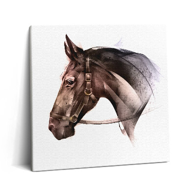 Tablou pe pânză canvas 60x60 Profil de cal pictat