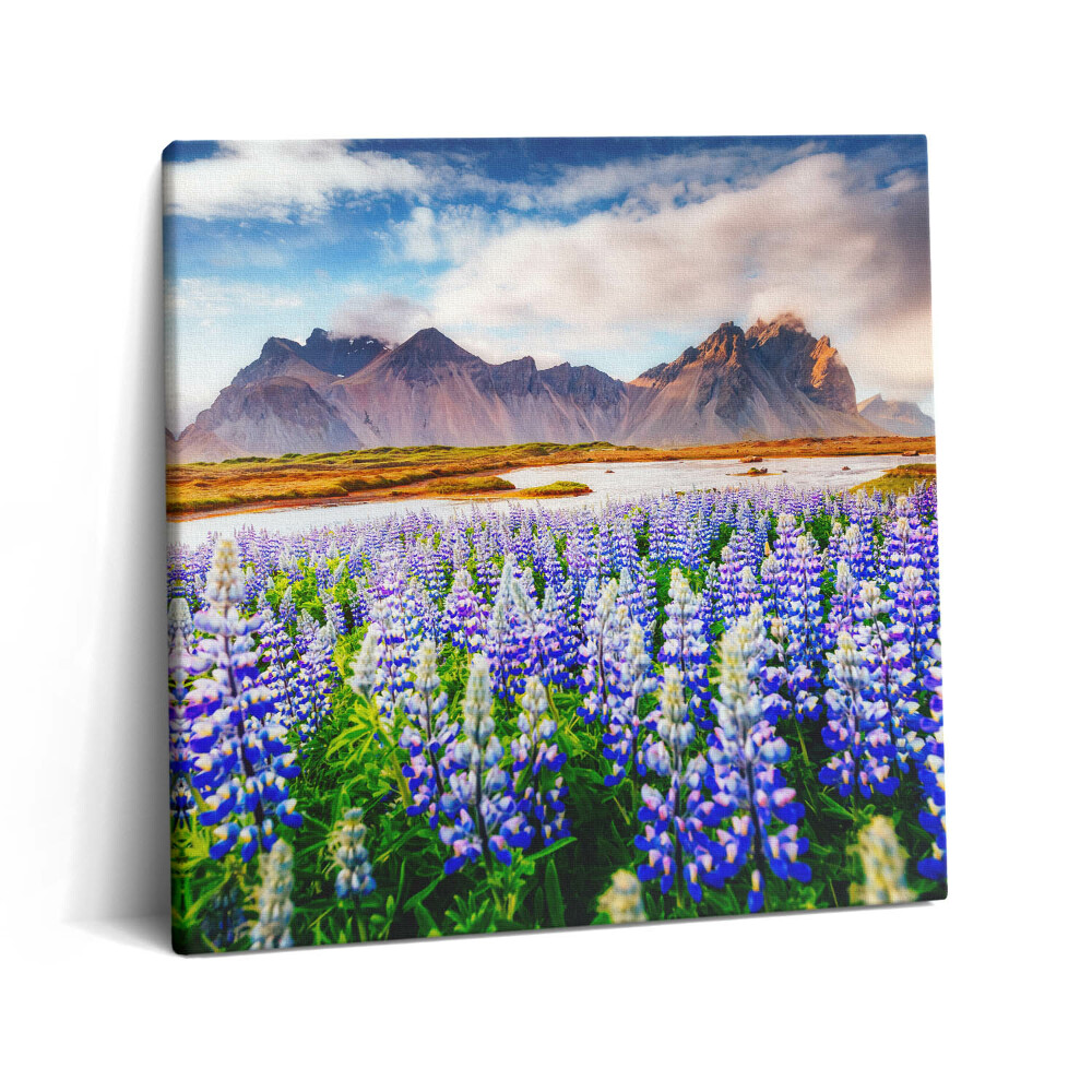 Tablou pe pânză canvas 60x60 Flori magice de lupin