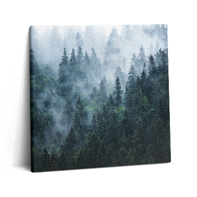 Tablou pe pânză canvas 60x60 Peisaj montan încețoșat