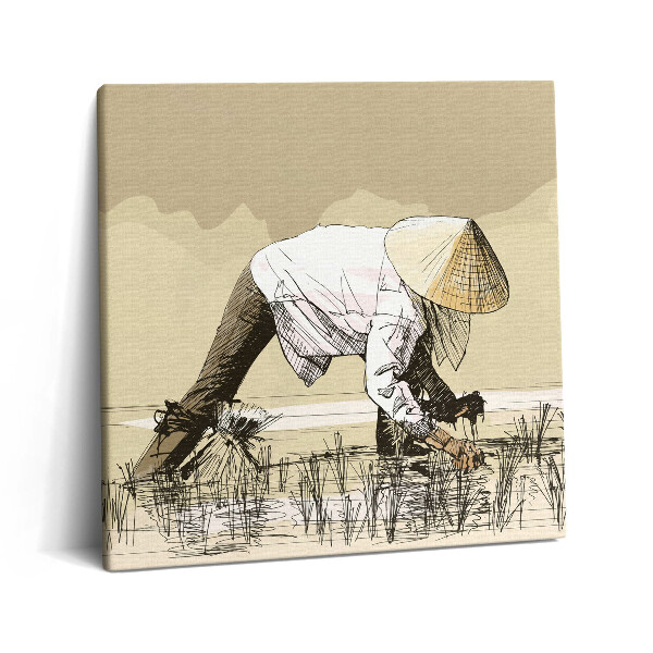 Tablou pe pânză canvas 60x60 Două femei recoltează orez în Asia