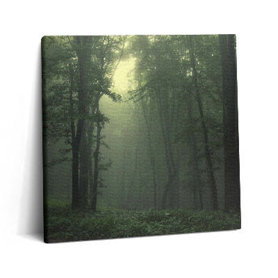 Tablou pe pânză canvas 60x60 Pădurea încețoșată dimineața