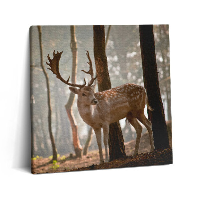 Tablou pe pânză canvas 60x60 Cerbi în strălucirea soarelui care răsare