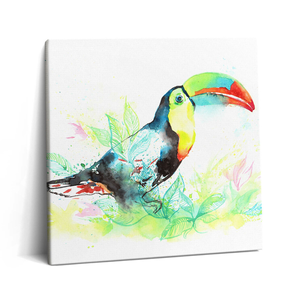 Tablou pe pânză canvas 60x60 Toucan iarbă acuarelă