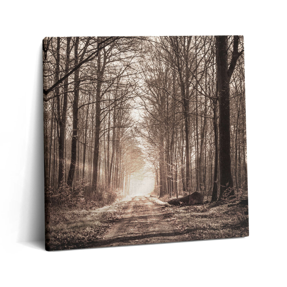 Tablou pe pânză canvas 60x60 Cale de pădure în tonuri sepia