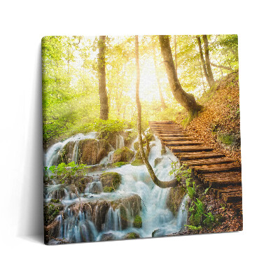Tablou pe pânză canvas 60x60 Pârâu și scări în pădure