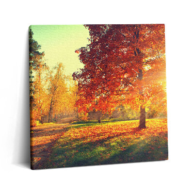 Tablou pe pânză canvas 60x60 Parc de toamnă