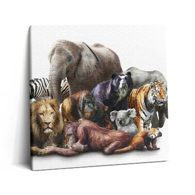 Tablou pe pânză canvas 60x60 Natură sălbatică