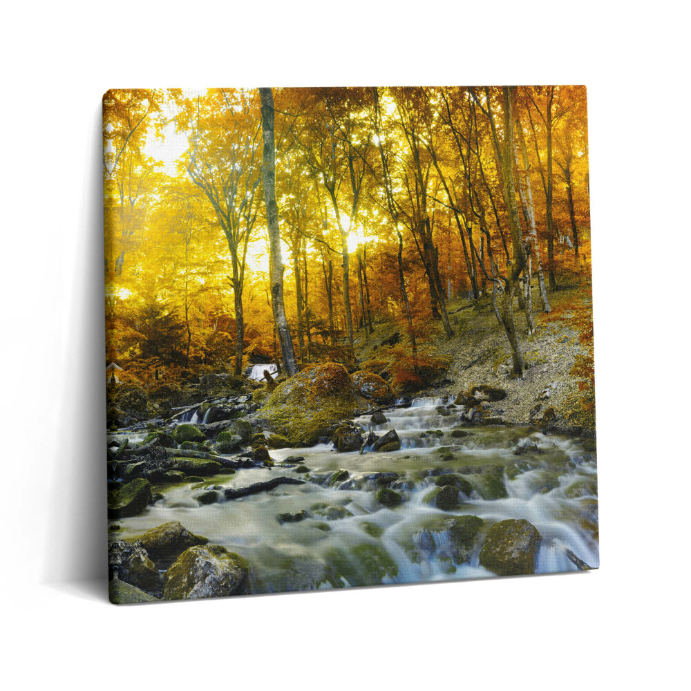 Tablou pe pânză canvas 60x60 pădure de toamnă