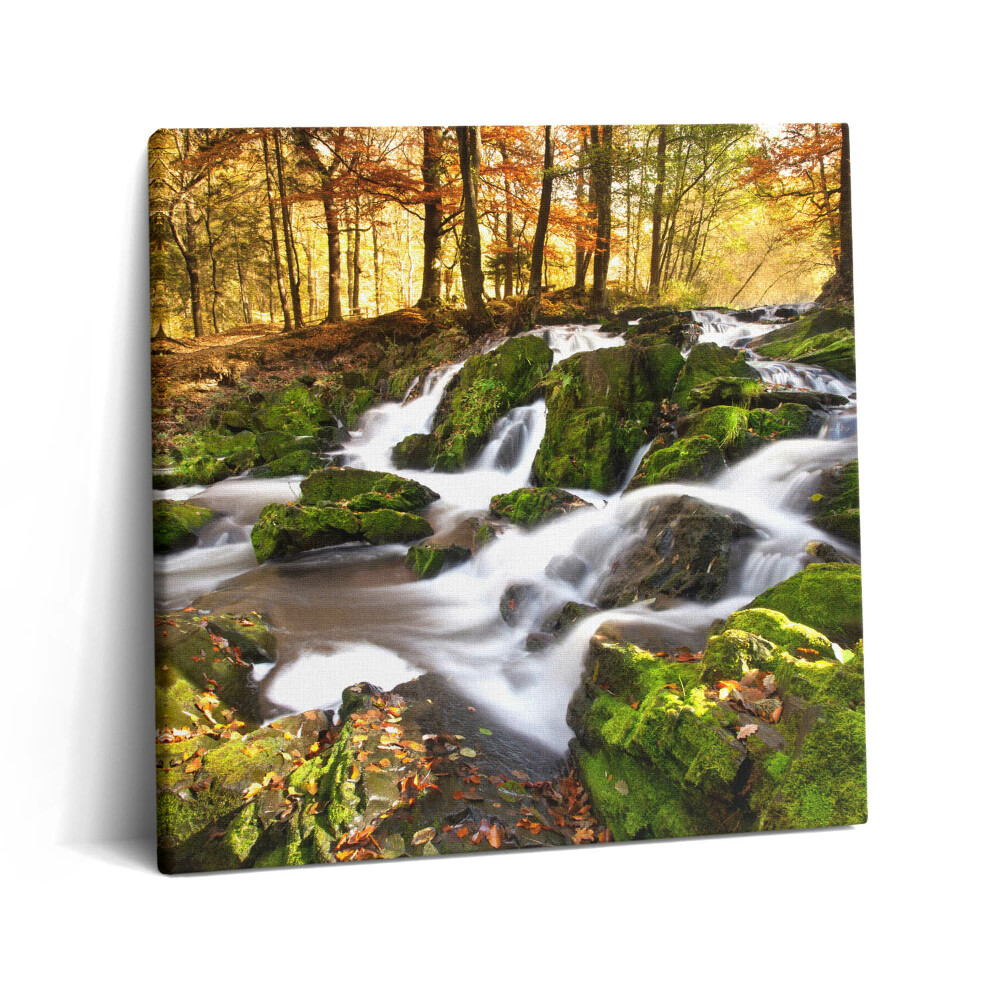 Tablou pe pânză canvas 60x60 Un pârâu în pădurea de toamnă