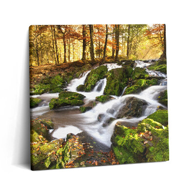 Tablou pe pânză canvas 60x60 Un pârâu în pădurea de toamnă