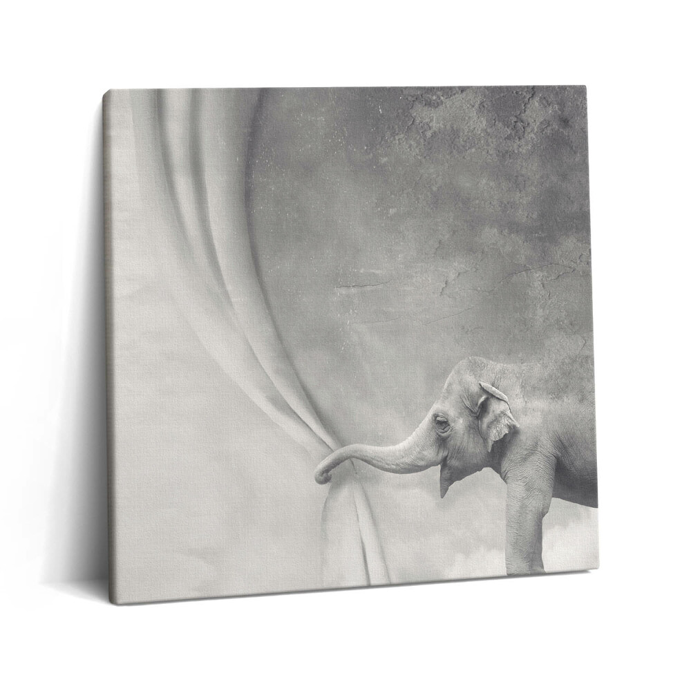Tablou pe pânză canvas 60x60 Elefantul din spatele cortinei