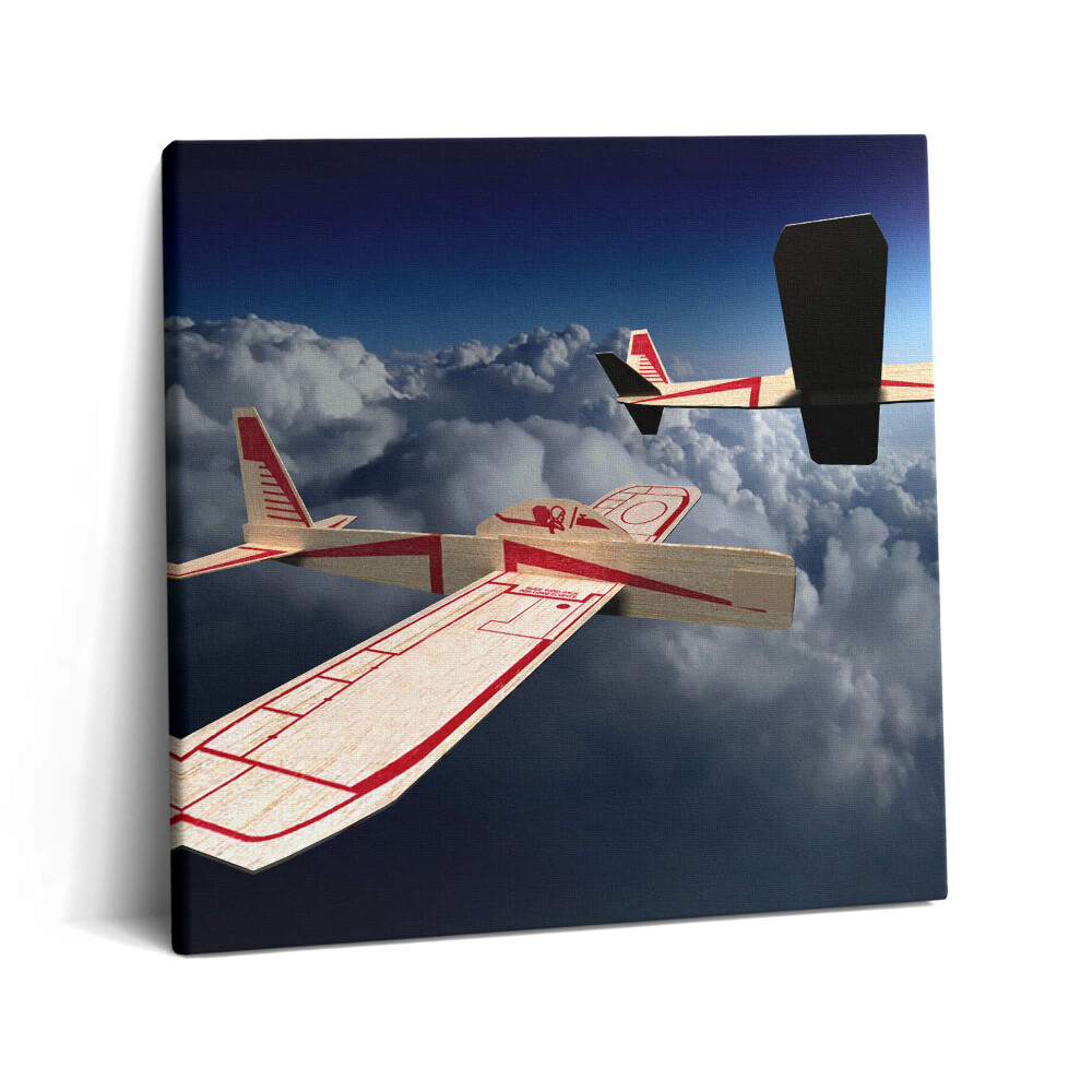 Tablou pe pânză canvas 60x60 Zburând prin cer