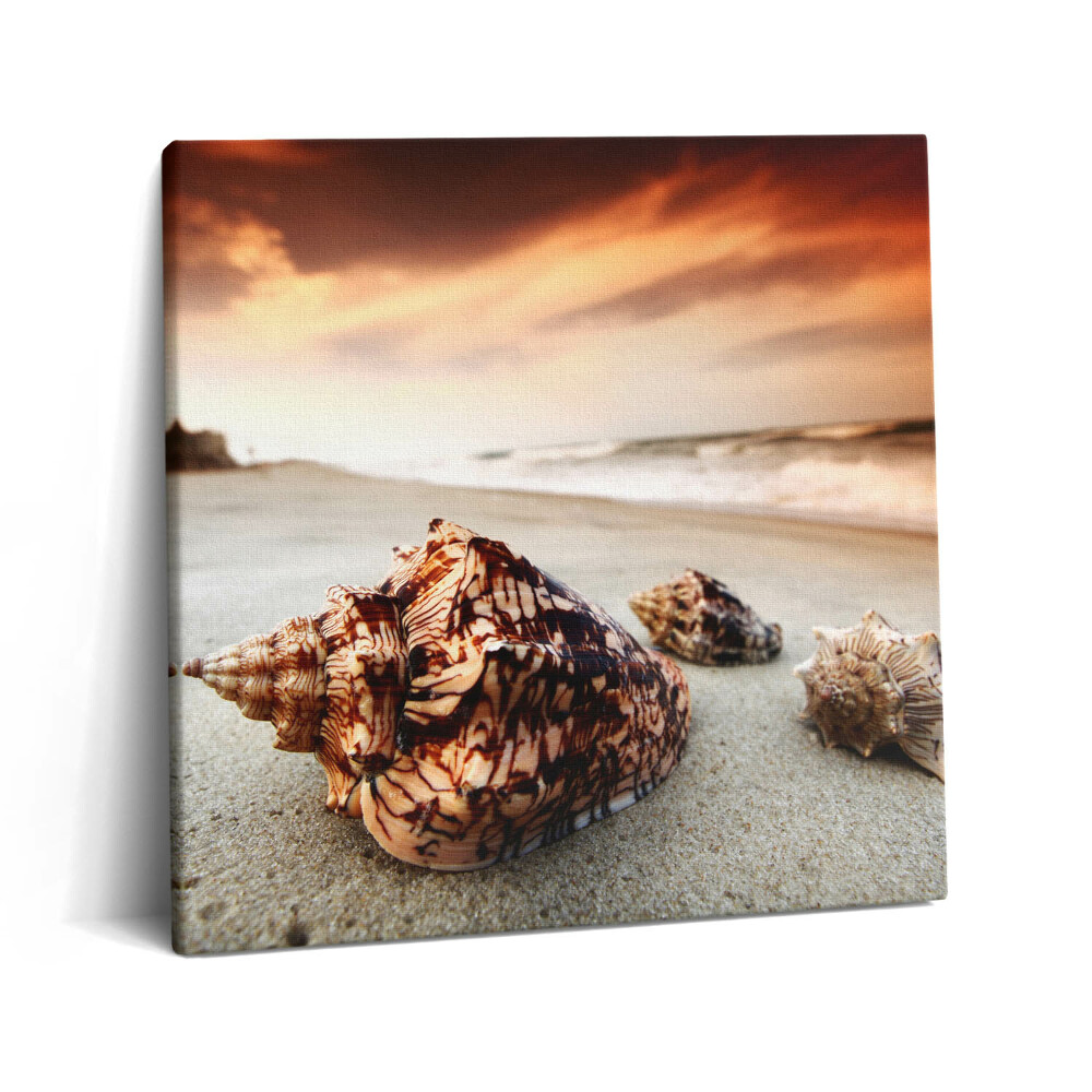 Tablou pe pânză canvas 60x60 Scoici pe plajă