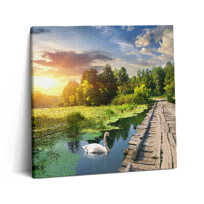 Tablou pe pânză canvas 60x60 Lebădă la apus