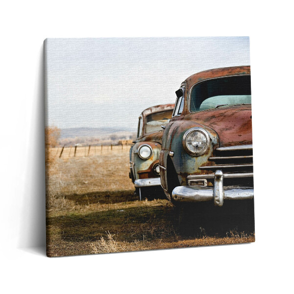 Tablou pe pânză canvas 60x60 Mașini vechi abandonate