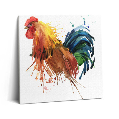 Tablou pe pânză canvas 60x60 Cocoș colorat