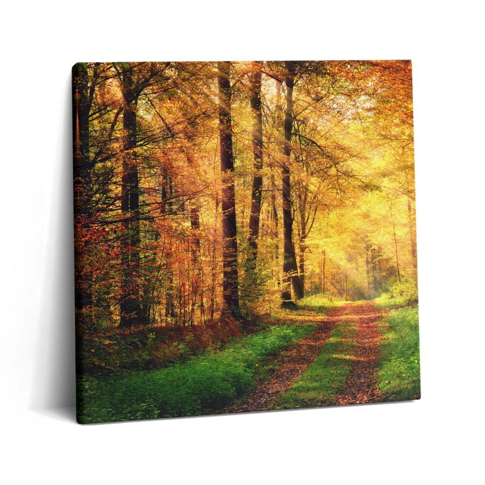 Tablou pe pânză canvas 60x60 Peisaj de pădure de toamnă