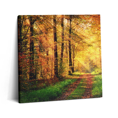 Tablou pe pânză canvas 60x60 Peisaj de pădure de toamnă