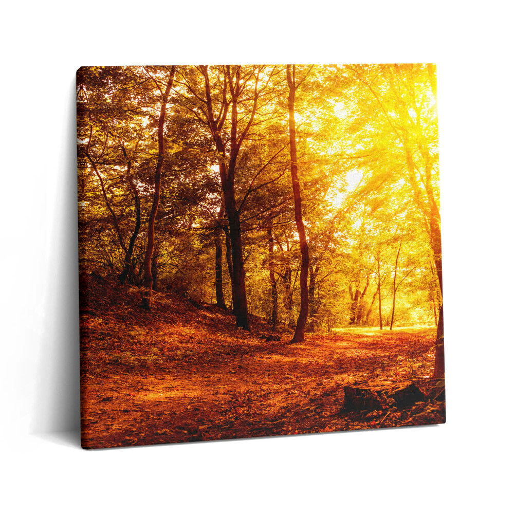 Tablou pe pânză canvas 60x60 Peisaj apus de soare de toamnă