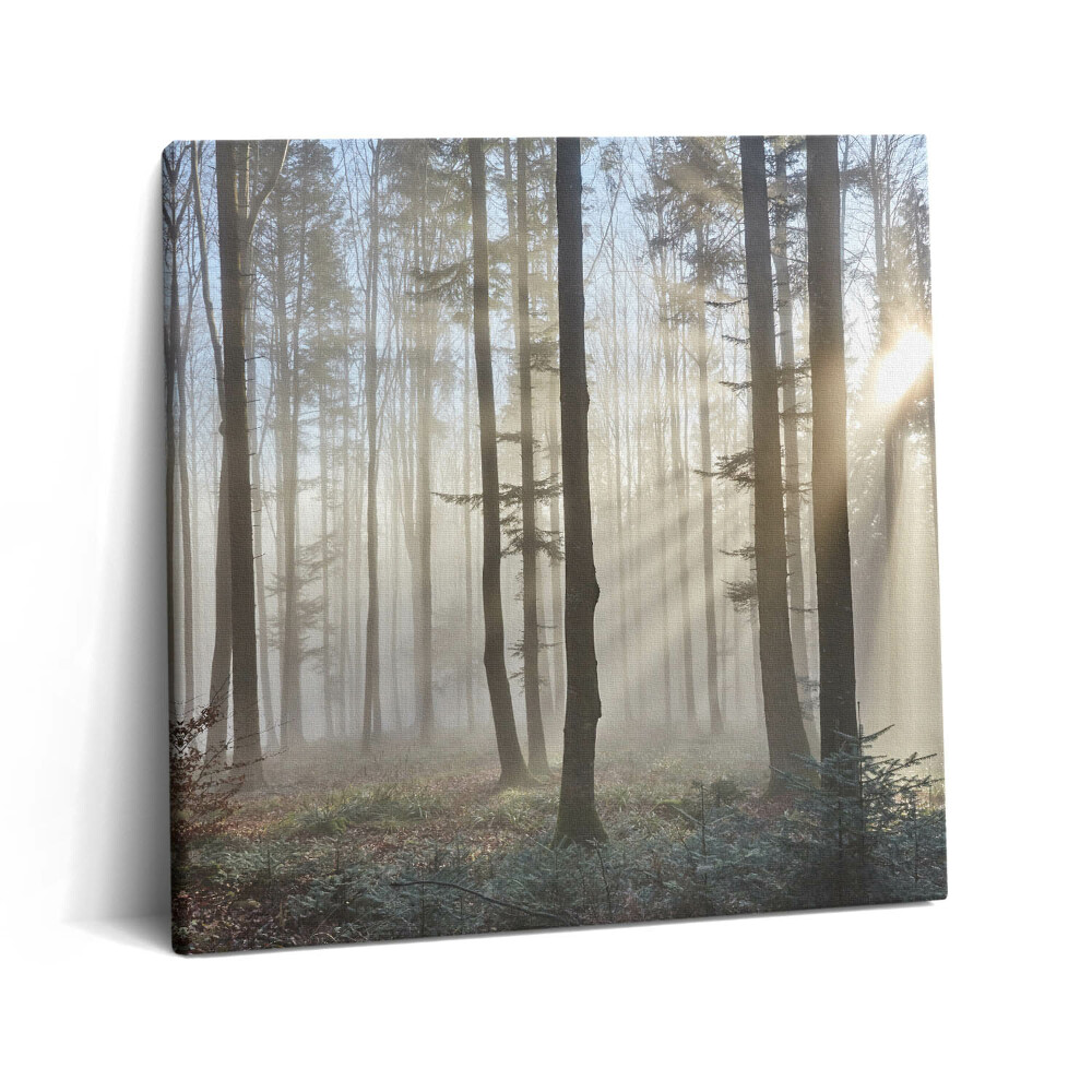 Tablou pe pânză canvas 60x60 Pădurea în ceață