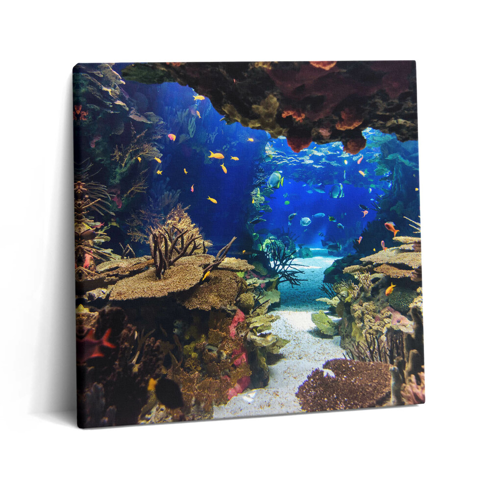 Tablou pe pânză canvas 60x60 Acvariu