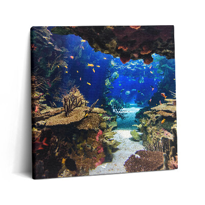 Tablou pe pânză canvas 60x60 Acvariu