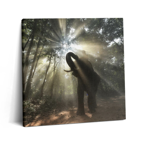 Tablou pe pânză canvas 60x60 Elefantul în junglă