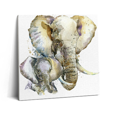 Tablou pe pânză canvas 60x60 Animale elefanți