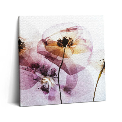 Tablou pe pânză canvas 60x60 Flori de mac uscate