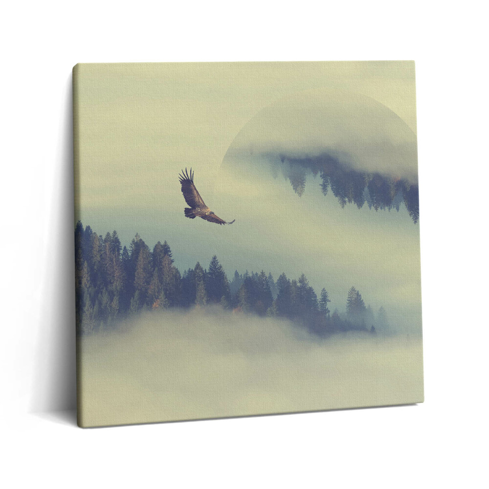 Tablou pe pânză canvas 60x60 Pădure încețoșată și vultur