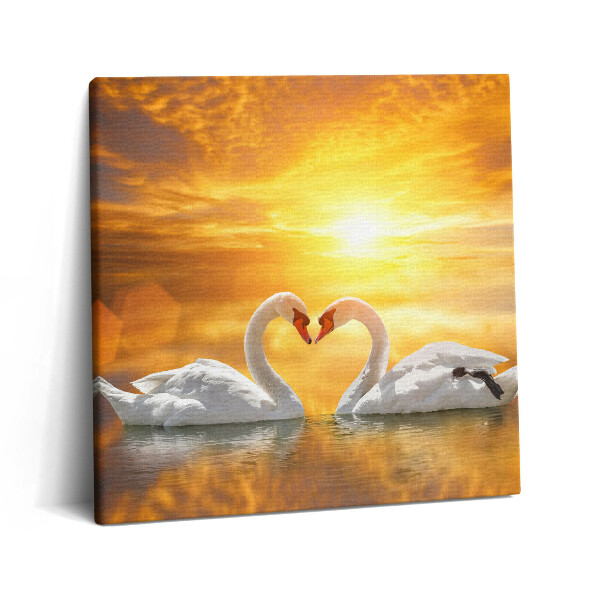 Tablou pe pânză canvas 60x60 Lebede îndrăgostite