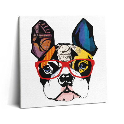 Tablou pe pânză canvas 60x60 Buldog francez cu ochelari