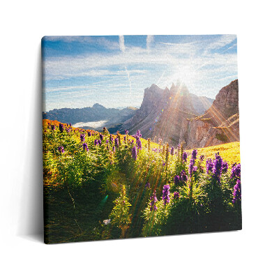 Tablou pe pânză canvas 60x60 Pajiște de lavandă