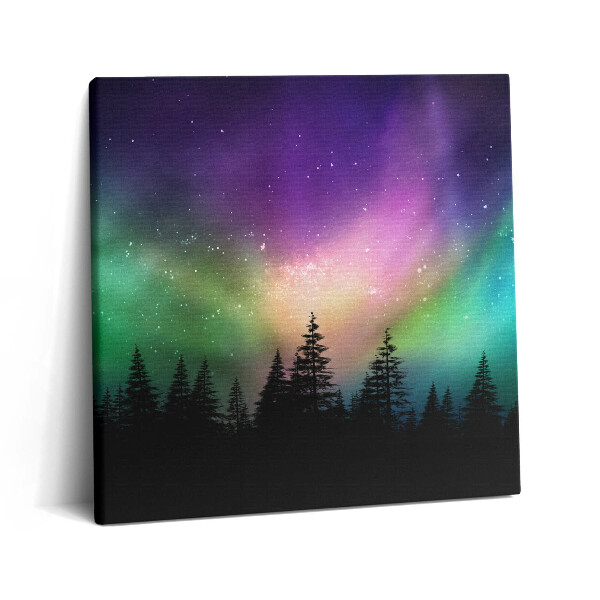 Tablou pe pânză canvas 60x60 Aurora boreală