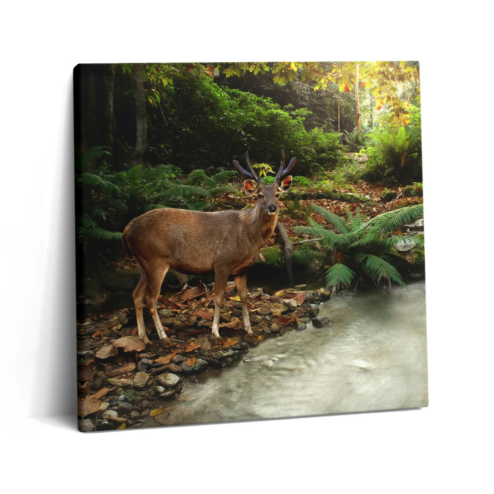 Tablou pe pânză canvas 60x60 Pârâu tropical și cerbi