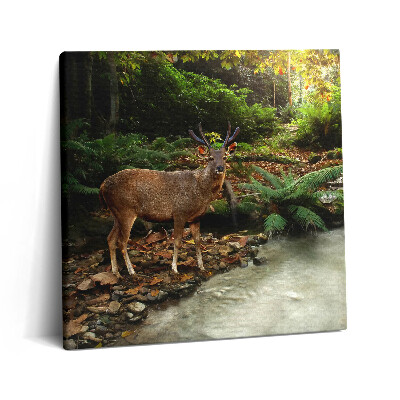 Tablou pe pânză canvas 60x60 Pârâu tropical și cerbi