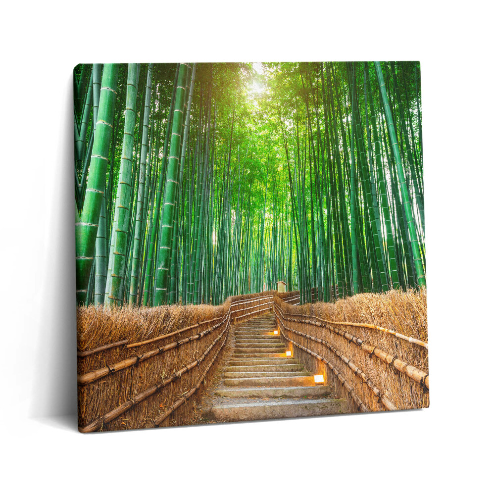 Tablou pe pânză canvas 60x60 Un drum într-o pădure de bambus