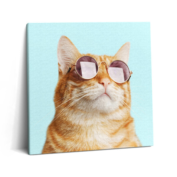 Tablou pe pânză canvas 60x60 Pisică amuzantă cu ochelari