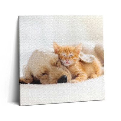 Tablou pe pânză canvas 60x60 Animale care dorm, pisică și câine
