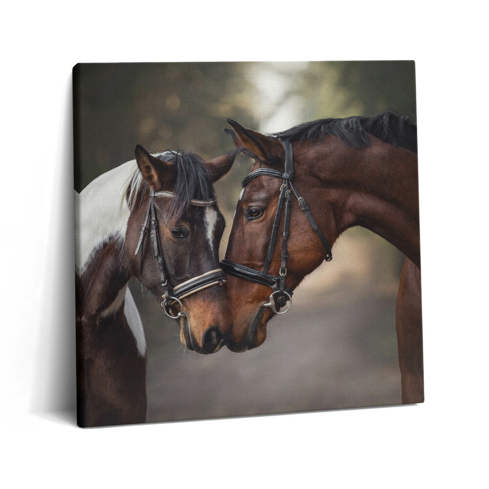 Tablou pe pânză canvas 60x60 Portret de cai în pădure