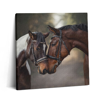 Tablou pe pânză canvas 60x60 Portret de cai în pădure