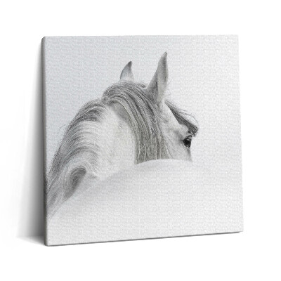 Tablou pe pânză canvas 60x60 Cal andaluz în ceață