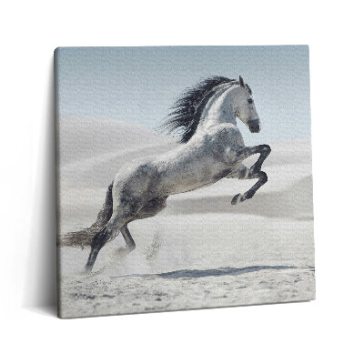 Tablou pe pânză canvas 60x60 Cal alb galopant