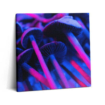Tablou pe pânză canvas 60x60 Ciuperci magice colorate