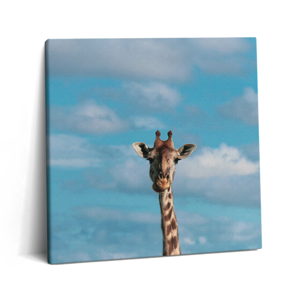 Tablou pe pânză canvas 60x60 Cap de girafă pe cer
