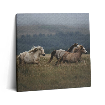 Tablou pe pânză canvas 60x60 Caii galopând în sus