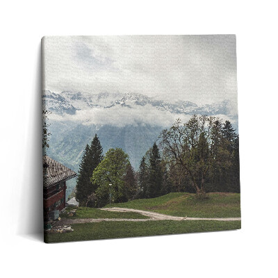 Tablou pe pânză canvas 60x60 Vedere pitorească a munților